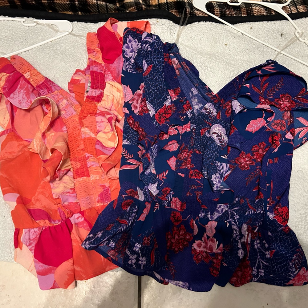 Pair of Sofia Vergara Deep V Blouse